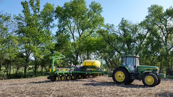 plant15