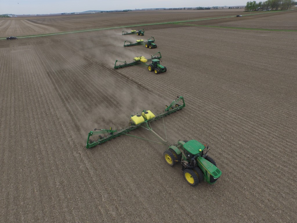 plant15