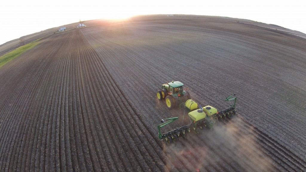 plant15