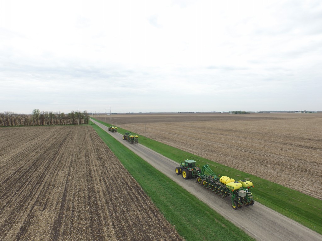 plant15