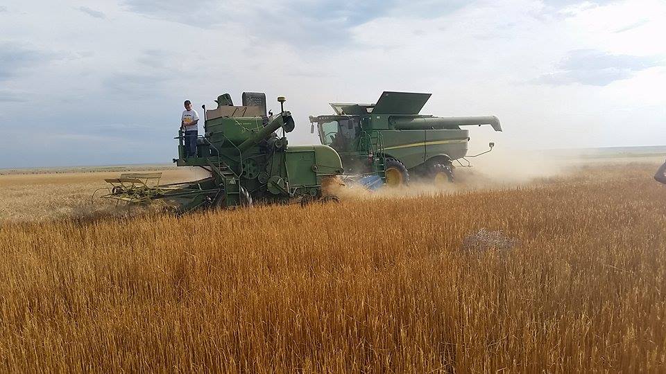 Old & New John Deere combines at work in Colorado