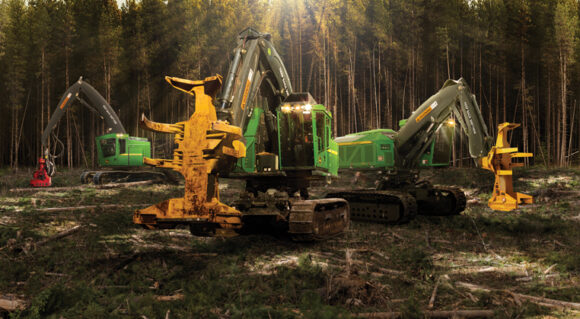 forestry business