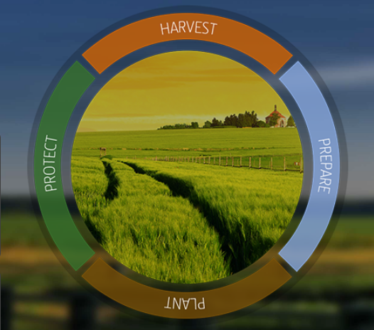 The Four Stage of the Farming Cycle