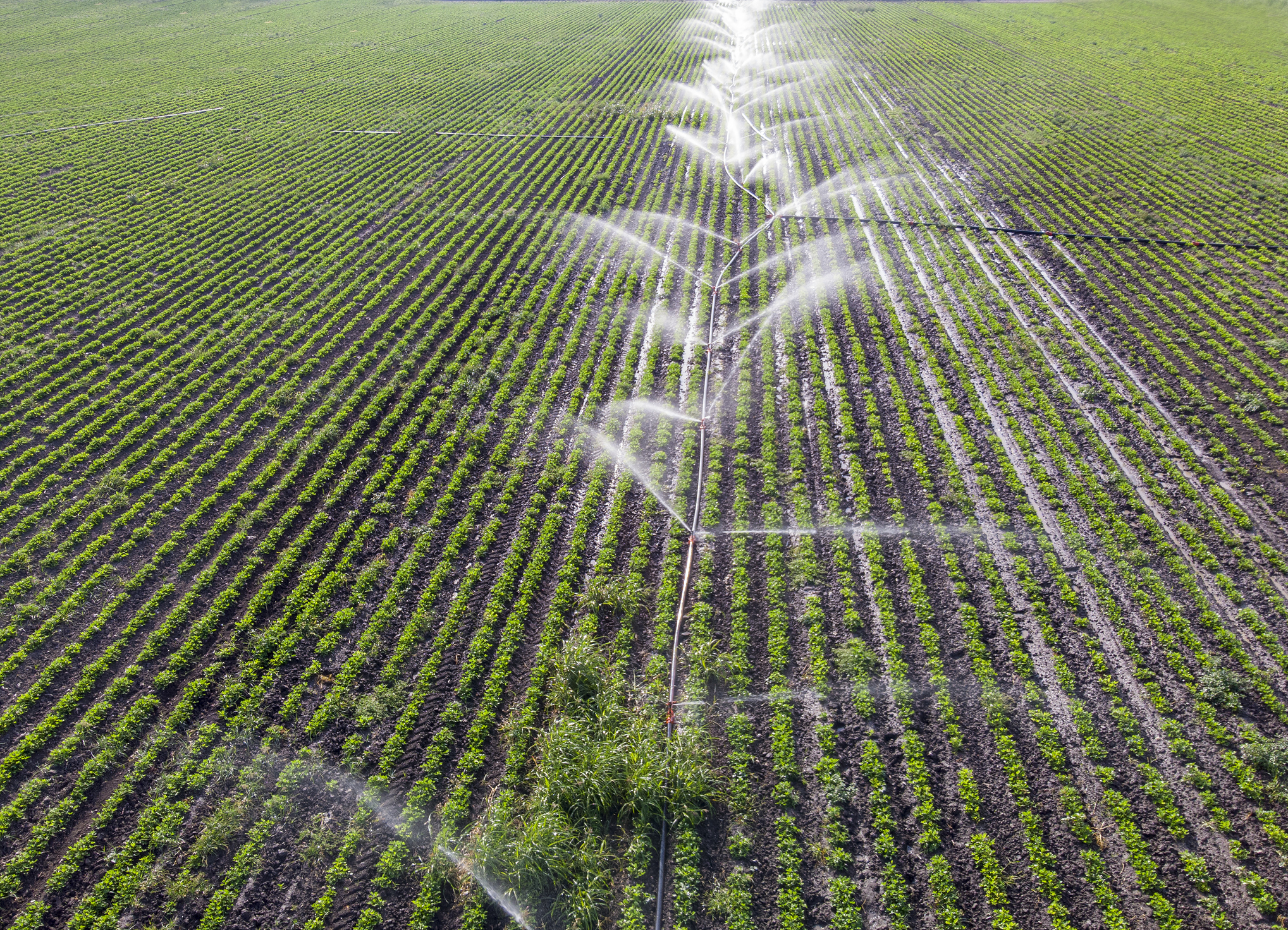 Center pivot irrigation systems require regular maintenance, calibration, and monitoring to ensure even water distribution that maximizes crop yields.