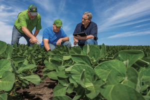 Iowa State University Extension and Outreach provides tips for producers looking to combat soybean aphids in fields. 