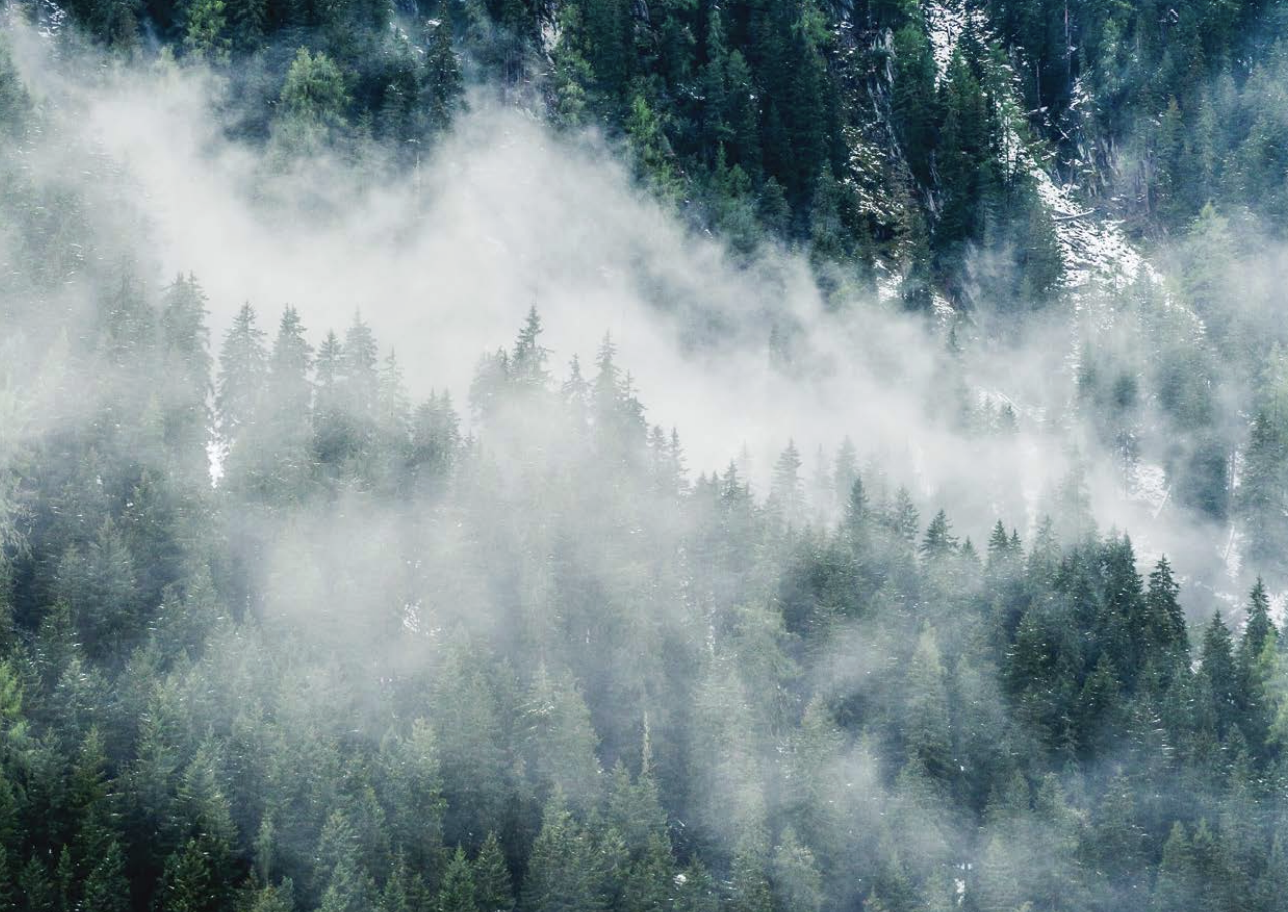 John Deere 948L II Skidder: Features and Specs | MachineFinder