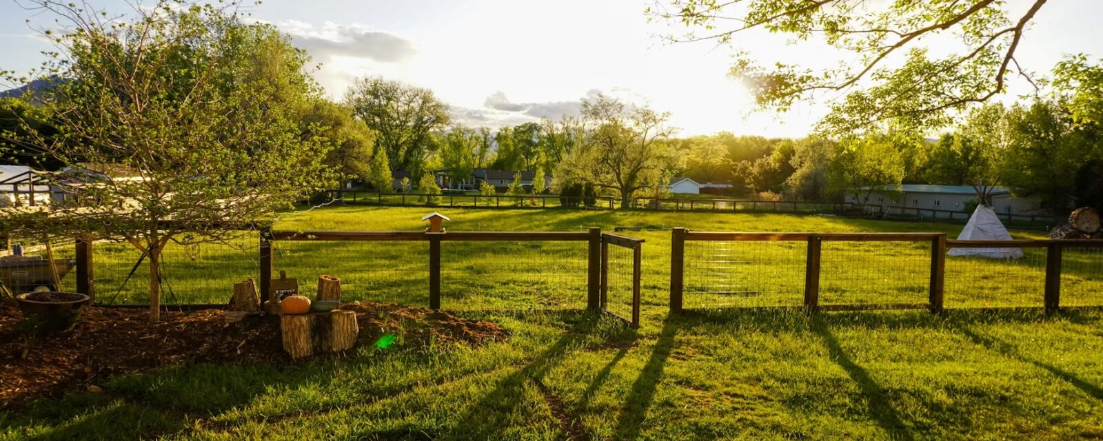 sunny day on a small farm